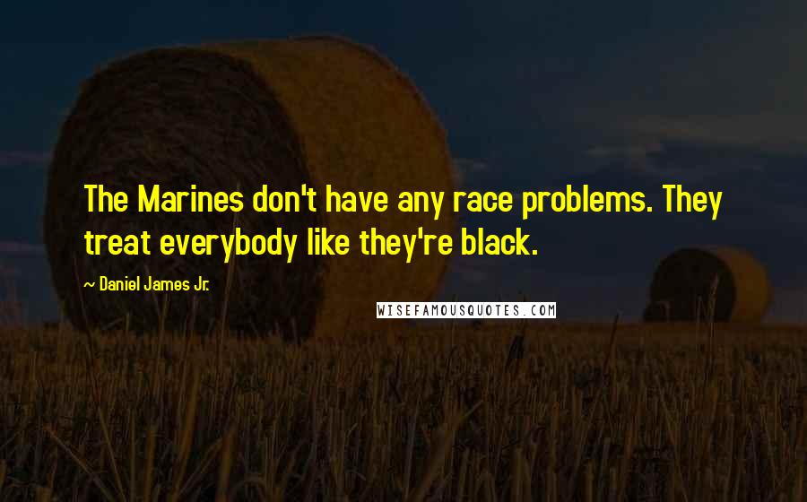 Daniel James Jr. Quotes: The Marines don't have any race problems. They treat everybody like they're black.