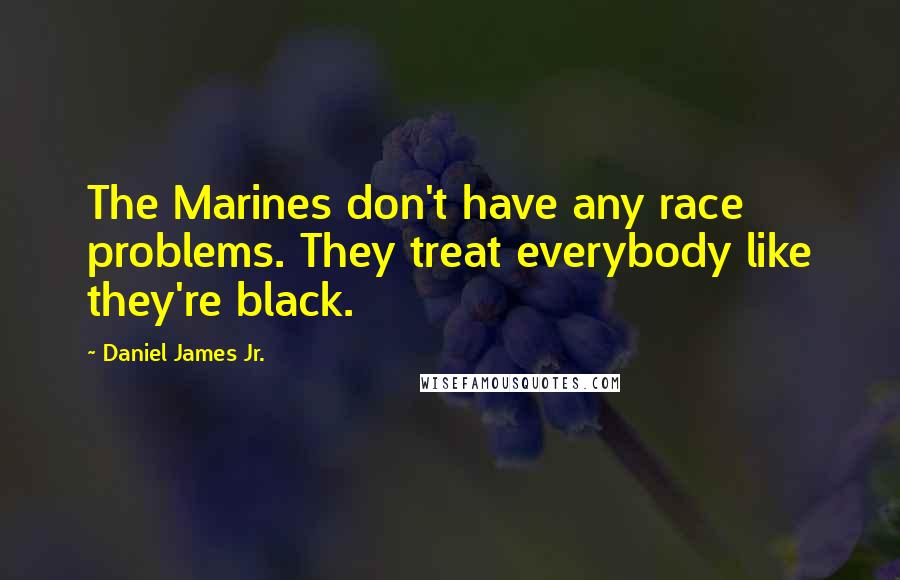 Daniel James Jr. Quotes: The Marines don't have any race problems. They treat everybody like they're black.