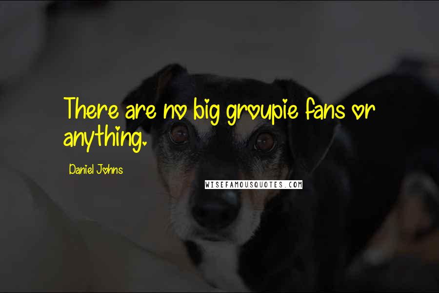 Daniel Johns Quotes: There are no big groupie fans or anything.