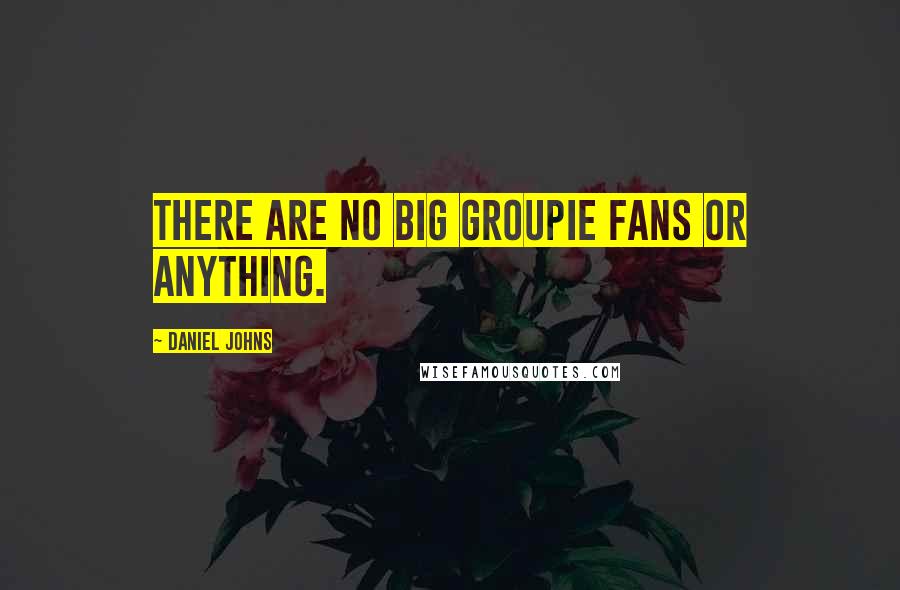 Daniel Johns Quotes: There are no big groupie fans or anything.