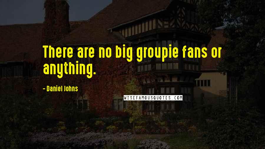 Daniel Johns Quotes: There are no big groupie fans or anything.
