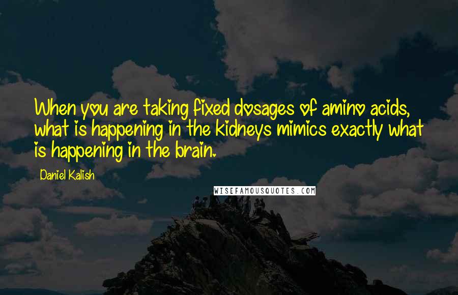 Daniel Kalish Quotes: When you are taking fixed dosages of amino acids, what is happening in the kidneys mimics exactly what is happening in the brain.