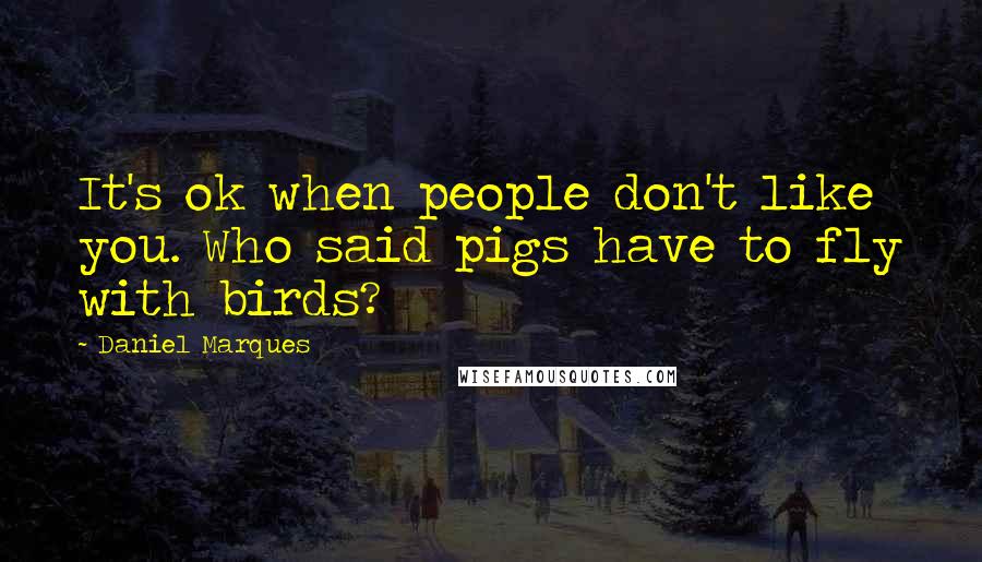 Daniel Marques Quotes: It's ok when people don't like you. Who said pigs have to fly with birds?