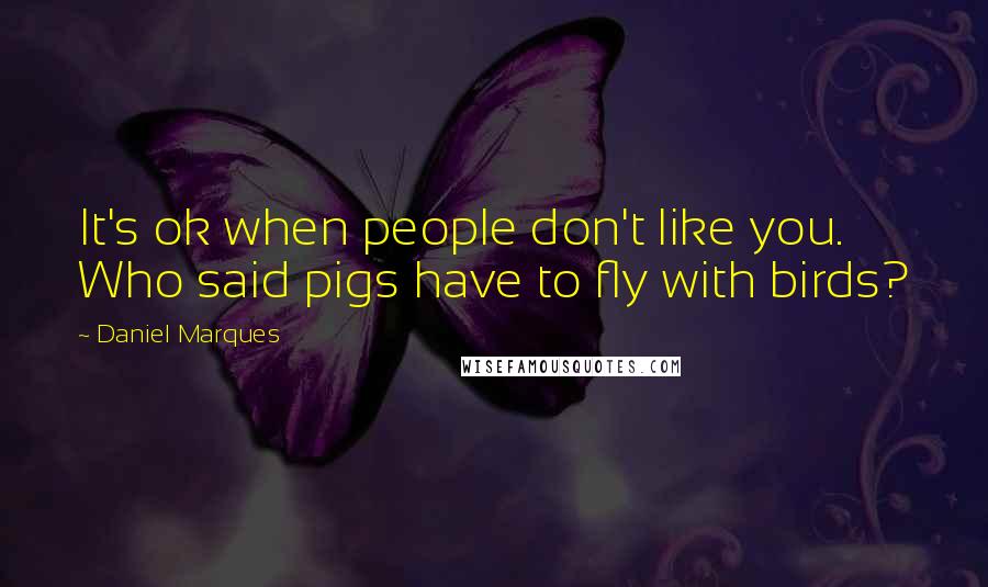 Daniel Marques Quotes: It's ok when people don't like you. Who said pigs have to fly with birds?