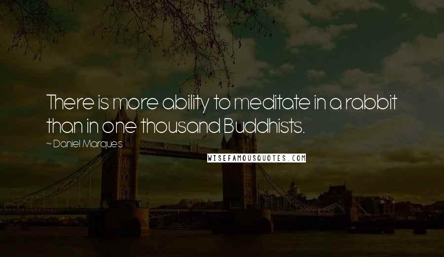 Daniel Marques Quotes: There is more ability to meditate in a rabbit than in one thousand Buddhists.