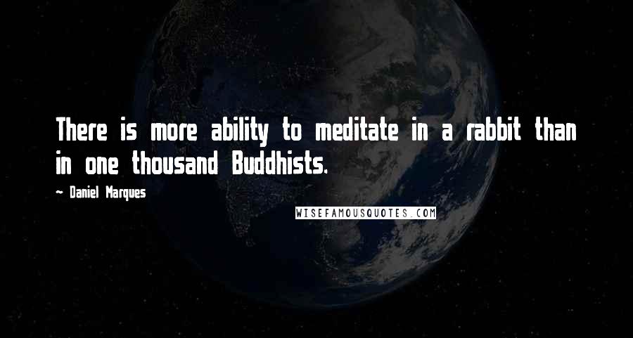 Daniel Marques Quotes: There is more ability to meditate in a rabbit than in one thousand Buddhists.