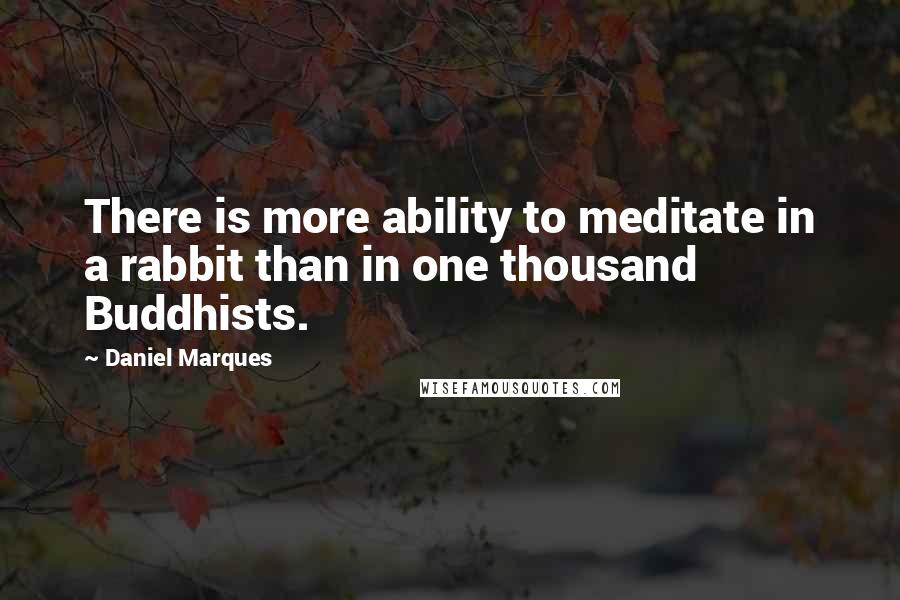 Daniel Marques Quotes: There is more ability to meditate in a rabbit than in one thousand Buddhists.