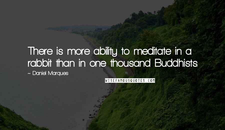 Daniel Marques Quotes: There is more ability to meditate in a rabbit than in one thousand Buddhists.