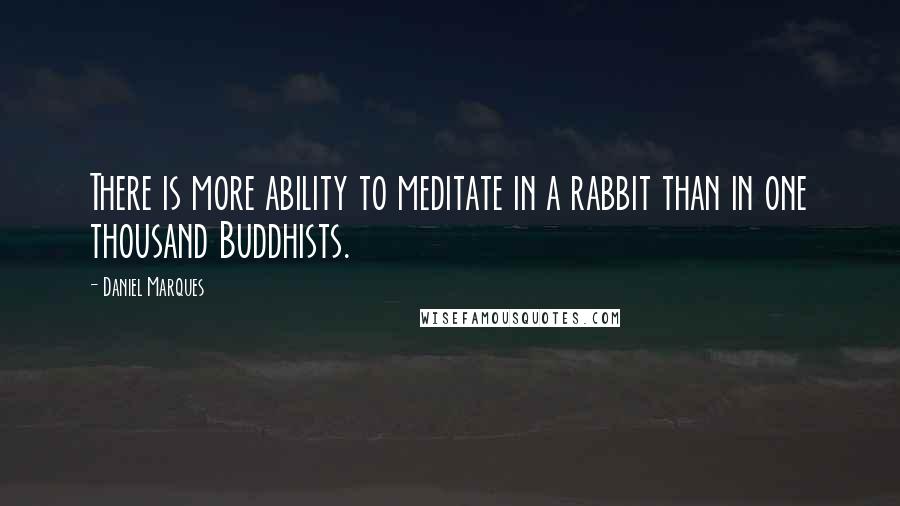 Daniel Marques Quotes: There is more ability to meditate in a rabbit than in one thousand Buddhists.