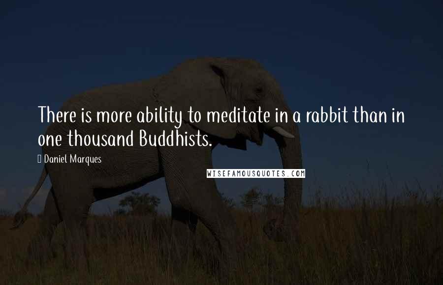 Daniel Marques Quotes: There is more ability to meditate in a rabbit than in one thousand Buddhists.