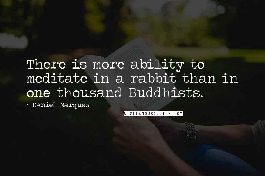 Daniel Marques Quotes: There is more ability to meditate in a rabbit than in one thousand Buddhists.