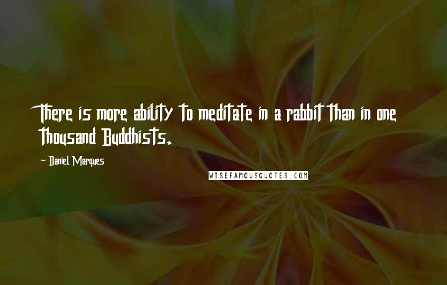 Daniel Marques Quotes: There is more ability to meditate in a rabbit than in one thousand Buddhists.