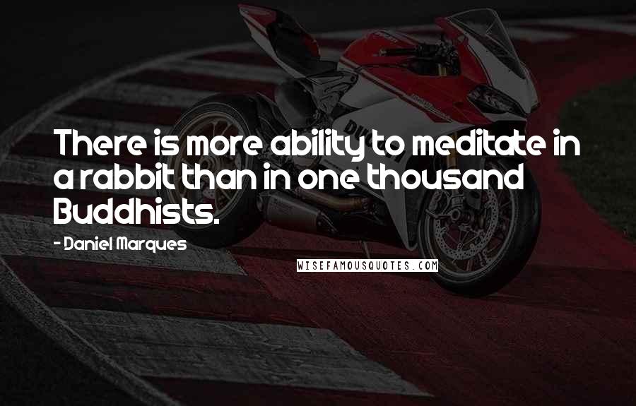 Daniel Marques Quotes: There is more ability to meditate in a rabbit than in one thousand Buddhists.