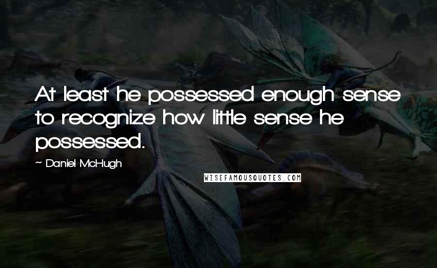 Daniel McHugh Quotes: At least he possessed enough sense to recognize how little sense he possessed.