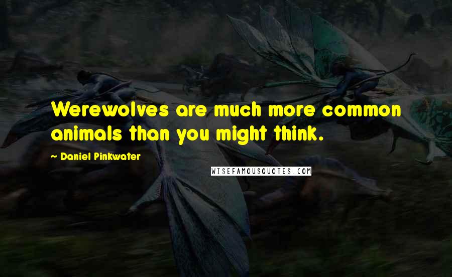 Daniel Pinkwater Quotes: Werewolves are much more common animals than you might think.