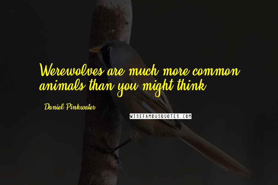 Daniel Pinkwater Quotes: Werewolves are much more common animals than you might think.