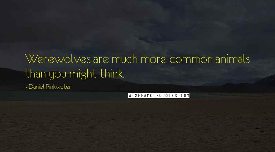 Daniel Pinkwater Quotes: Werewolves are much more common animals than you might think.