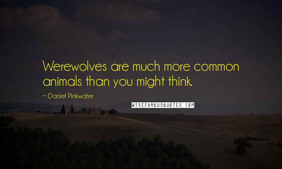 Daniel Pinkwater Quotes: Werewolves are much more common animals than you might think.