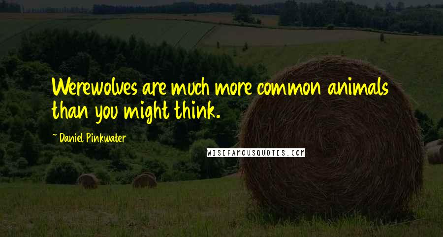 Daniel Pinkwater Quotes: Werewolves are much more common animals than you might think.