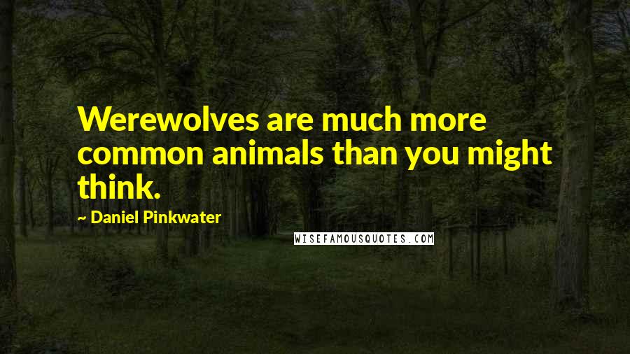 Daniel Pinkwater Quotes: Werewolves are much more common animals than you might think.