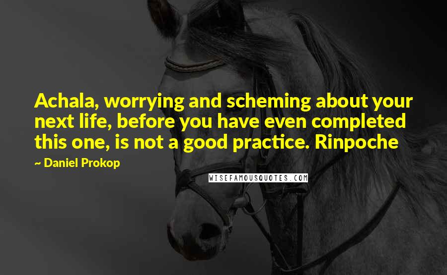 Daniel Prokop Quotes: Achala, worrying and scheming about your next life, before you have even completed this one, is not a good practice. Rinpoche