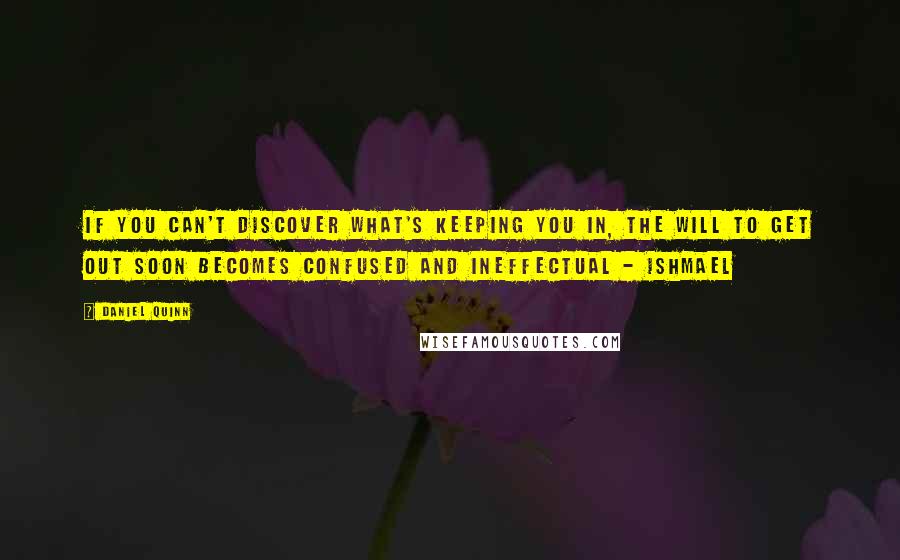 Daniel Quinn Quotes: If you can't discover what's keeping you in, the will to get out soon becomes confused and ineffectual - Ishmael