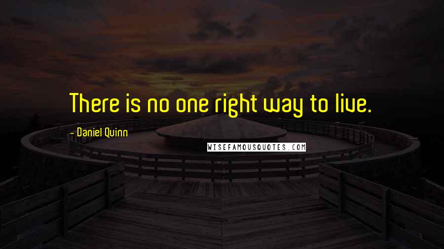 Daniel Quinn Quotes: There is no one right way to live.