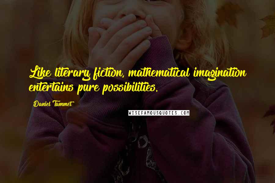Daniel Tammet Quotes: Like literary fiction, mathematical imagination entertains pure possibilities.