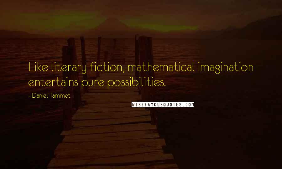 Daniel Tammet Quotes: Like literary fiction, mathematical imagination entertains pure possibilities.