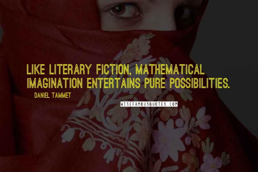 Daniel Tammet Quotes: Like literary fiction, mathematical imagination entertains pure possibilities.