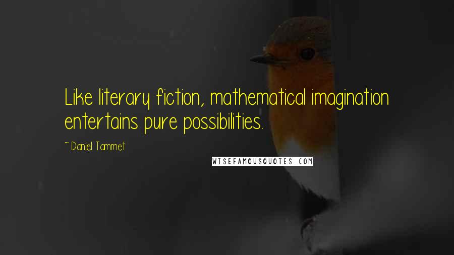 Daniel Tammet Quotes: Like literary fiction, mathematical imagination entertains pure possibilities.