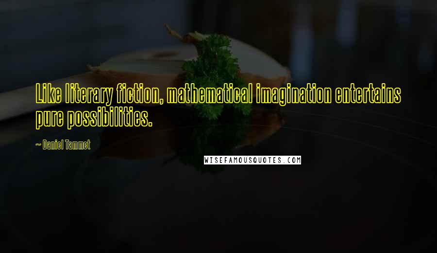 Daniel Tammet Quotes: Like literary fiction, mathematical imagination entertains pure possibilities.