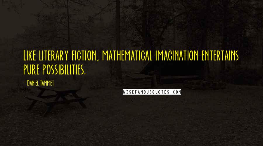 Daniel Tammet Quotes: Like literary fiction, mathematical imagination entertains pure possibilities.