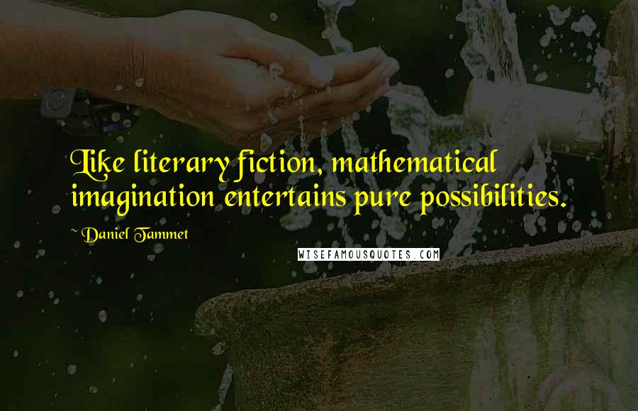 Daniel Tammet Quotes: Like literary fiction, mathematical imagination entertains pure possibilities.