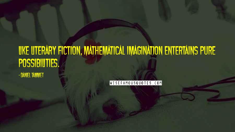 Daniel Tammet Quotes: Like literary fiction, mathematical imagination entertains pure possibilities.