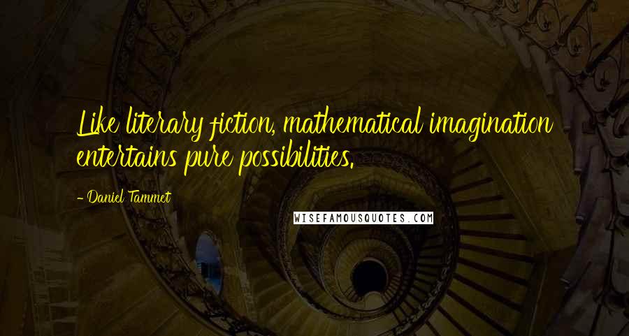 Daniel Tammet Quotes: Like literary fiction, mathematical imagination entertains pure possibilities.