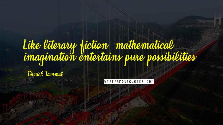Daniel Tammet Quotes: Like literary fiction, mathematical imagination entertains pure possibilities.