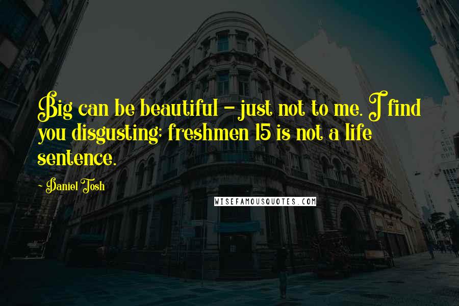 Daniel Tosh Quotes: Big can be beautiful - just not to me. I find you disgusting; freshmen 15 is not a life sentence.