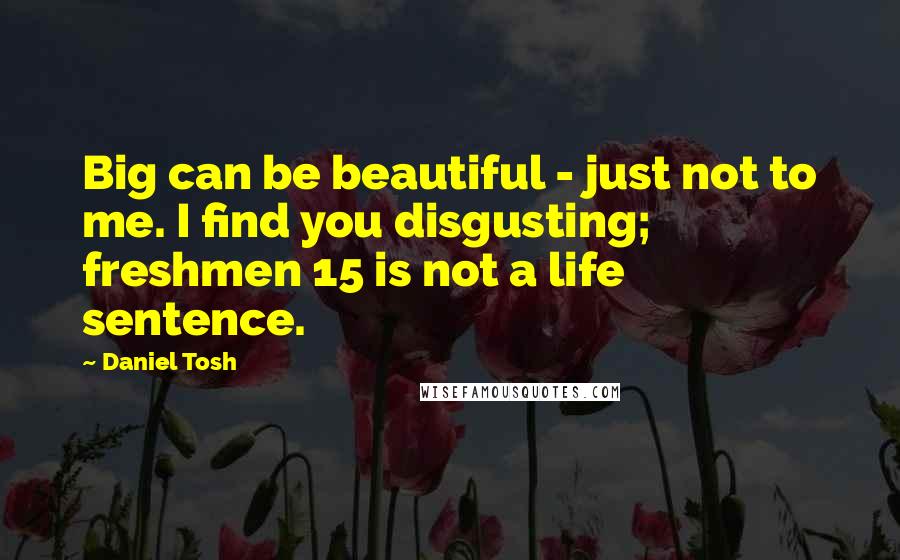 Daniel Tosh Quotes: Big can be beautiful - just not to me. I find you disgusting; freshmen 15 is not a life sentence.