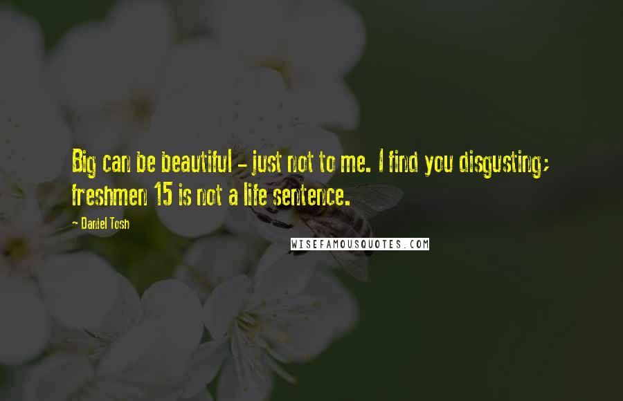 Daniel Tosh Quotes: Big can be beautiful - just not to me. I find you disgusting; freshmen 15 is not a life sentence.