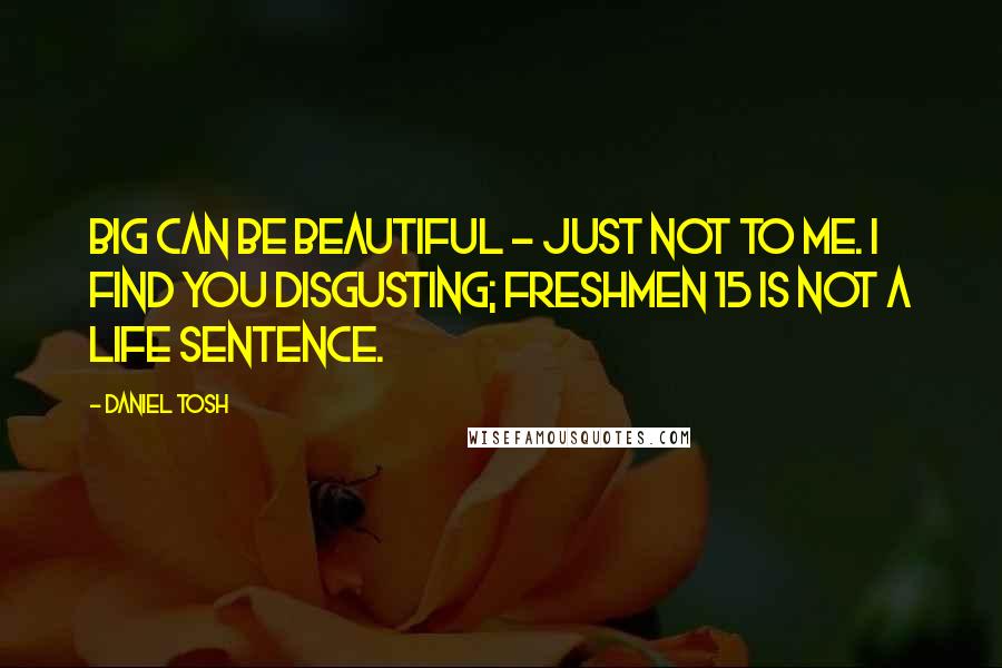 Daniel Tosh Quotes: Big can be beautiful - just not to me. I find you disgusting; freshmen 15 is not a life sentence.