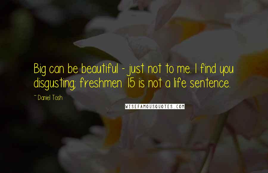 Daniel Tosh Quotes: Big can be beautiful - just not to me. I find you disgusting; freshmen 15 is not a life sentence.