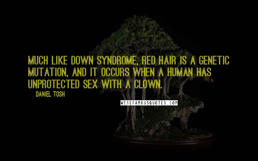 Daniel Tosh Quotes: Much like Down Syndrome, red hair is a genetic mutation, and it occurs when a human has unprotected sex with a clown.