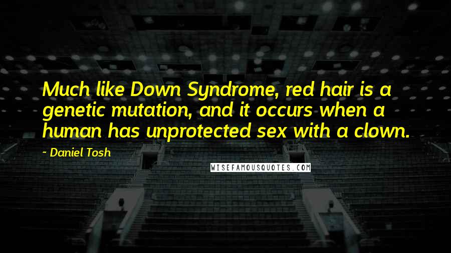 Daniel Tosh Quotes: Much like Down Syndrome, red hair is a genetic mutation, and it occurs when a human has unprotected sex with a clown.