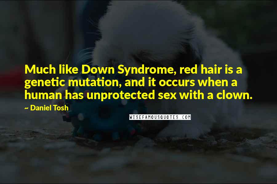 Daniel Tosh Quotes: Much like Down Syndrome, red hair is a genetic mutation, and it occurs when a human has unprotected sex with a clown.