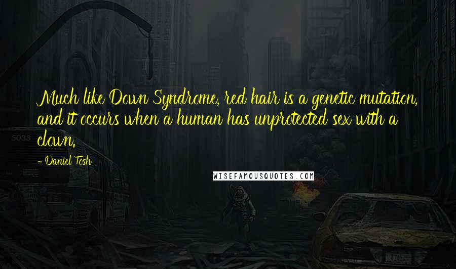 Daniel Tosh Quotes: Much like Down Syndrome, red hair is a genetic mutation, and it occurs when a human has unprotected sex with a clown.