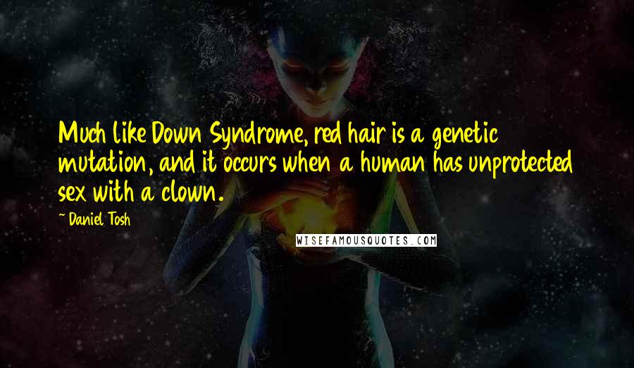 Daniel Tosh Quotes: Much like Down Syndrome, red hair is a genetic mutation, and it occurs when a human has unprotected sex with a clown.