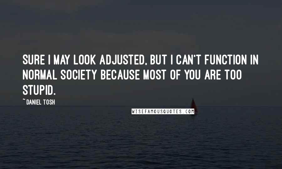 Daniel Tosh Quotes: Sure I may look adjusted, but I can't function in normal society because most of you are too stupid.