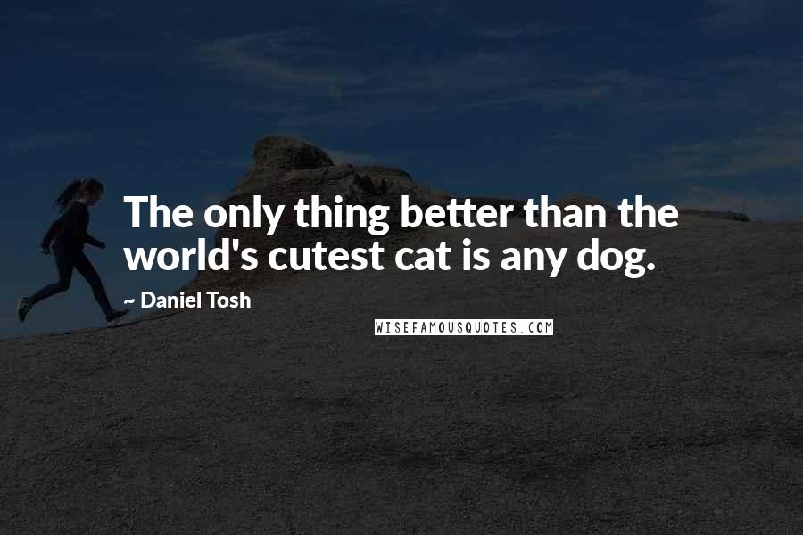 Daniel Tosh Quotes: The only thing better than the world's cutest cat is any dog.