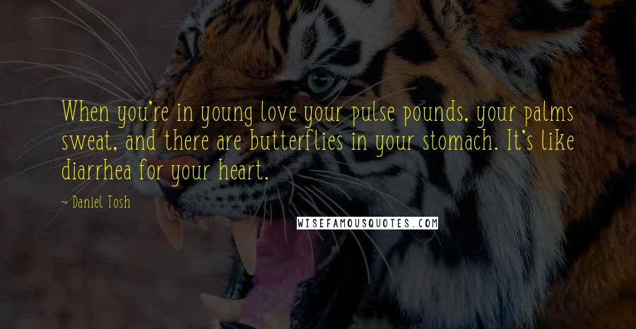 Daniel Tosh Quotes: When you're in young love your pulse pounds, your palms sweat, and there are butterflies in your stomach. It's like diarrhea for your heart.